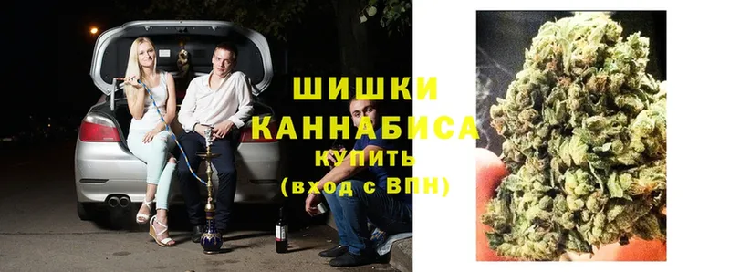 ссылка на мегу ССЫЛКА  Канаш  Шишки марихуана Bruce Banner  где купить наркоту 